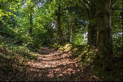 Woodlands At Peak Hill, Sidmouth, Devon, EX10 0LY