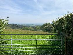 Land At Nadderwater, Nadderwater, Exeter, Devon, EX4 2LQ