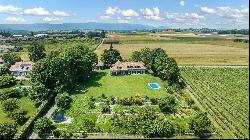 Property In A Vineyard With Swimming Pool, Etoy, 1163