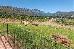 Franschhoek Iconic Income-Generating Small Holding, Verdun Road, Franschhoek, 7690