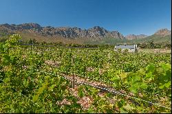 Franschhoek Iconic Income-Generating Small Holding, Verdun Road, Franschhoek, 7690