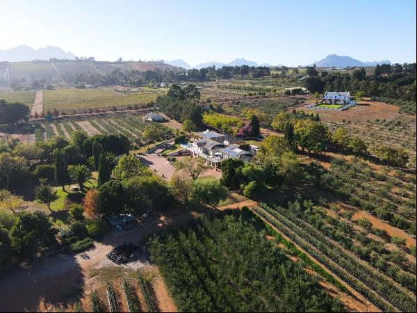 The Awakening Farm, Devonvale, Stellenbosch, Western Cape, 7600