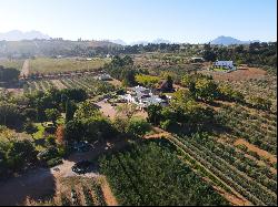 The Awakening Farm, Devonvale, Stellenbosch, Western Cape, 7600