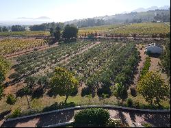 The Awakening Farm, Devonvale, Stellenbosch, Western Cape, 7600