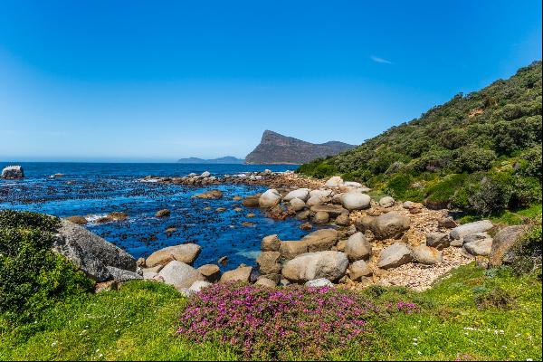 Partridge Point, 704 Main Road, Smitswinkel Bay, Cape Town, 7975