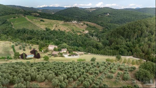 Il Mandorlo House with cottages and pool, Radda in Chianti – Tuscany