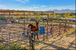 Royal Star Equestrian Center