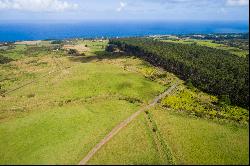 31-580 Lepoloa Rd. (Lot 9), Papaaloa, HI 96780