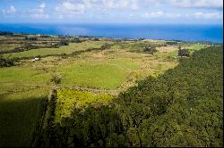 31-580 Lepoloa Rd. (Lot 9), Papaaloa, HI 96780