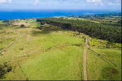 31-580 Lepoloa Rd. (Lot 9), Papaaloa, HI 96780