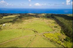 31-580 Lepoloa Rd. (Lot 9), Papaaloa, HI 96780