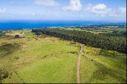 31-580 Lepoloa Rd. (Lot 9), Papaaloa, HI 96780