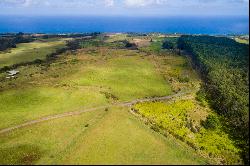 31-580 Lepoloa Rd. (Lot 9), Papaaloa, HI 96780