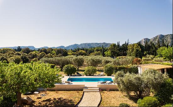 Holiday Rental in Eygalières, Provence