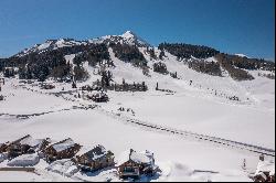 Luxury Ski Home at Wildhorse At Prospect in Mt Crested Butte