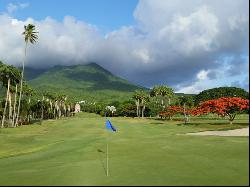 Sea Breeze, Four Seasons Nevis