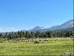 Picturesque Valley Creek Frontage With Wildflower Meadows And Sawtooth Views