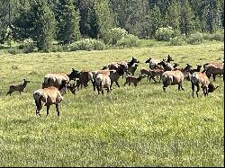 Picturesque Valley Creek Frontage With Wildflower Meadows And Sawtooth Views