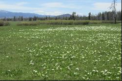 Picturesque Valley Creek Frontage With Wildflower Meadows And Sawtooth Views