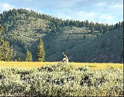 Picturesque Valley Creek Frontage With Wildflower Meadows And Sawtooth Views