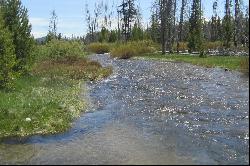 Picturesque Valley Creek Frontage With Wildflower Meadows And Sawtooth Views