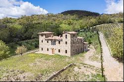 Fascinating property with vineyards and olive groves