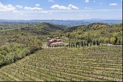 Fascinating property with vineyards and olive groves