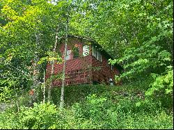 Cute Cabin in the Woods