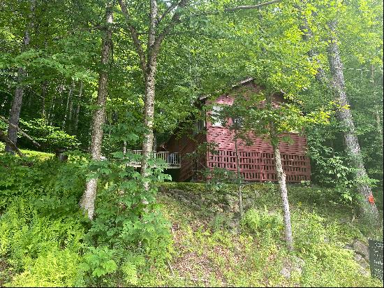 Cute Cabin in the Woods