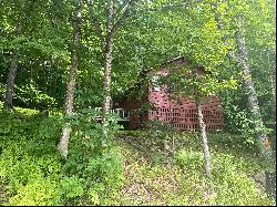 Cute Cabin in the Woods