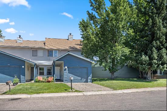 1017 Wheel Drive,Carbondale, CO, 81623