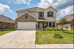 11821 Carrizo Springs Path, Manor, TX 78653