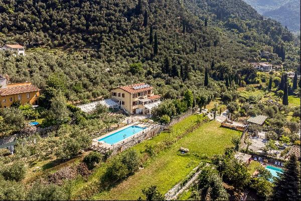 Private Villa for sale in Camaiore (Italy)