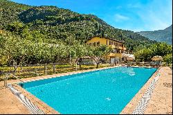 Private Villa for sale in Camaiore (Italy)