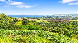 Waialua, North Shore, Vacant Land, Agricultural