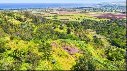 Waialua, North Shore, Vacant Land, Agricultural