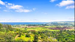 Waialua, North Shore, Vacant Land, Agricultural