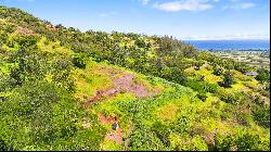 Waialua, North Shore, Vacant Land, Agricultural