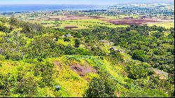 Waialua, North Shore, Vacant Land, Agricultural