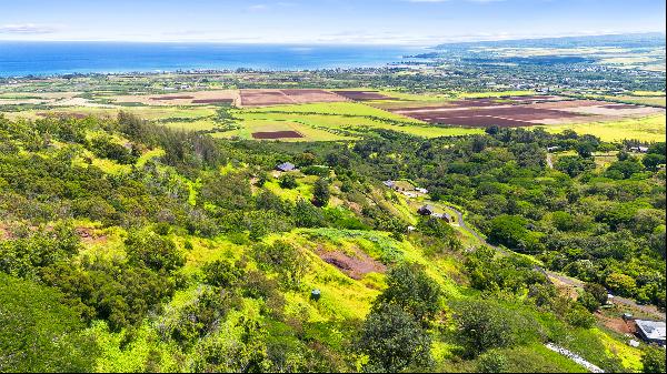 Waialua