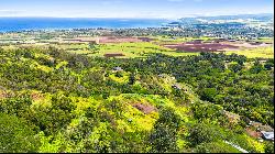 Waialua, North Shore, Vacant Land, Agricultural