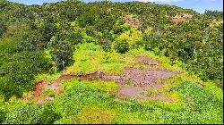 Waialua, North Shore, Vacant Land, Agricultural