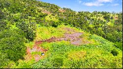 Waialua, North Shore, Vacant Land, Agricultural