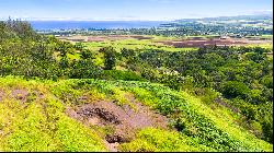 Waialua, North Shore, Vacant Land, Agricultural