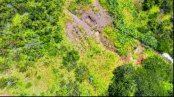 Waialua, North Shore, Vacant Land, Agricultural