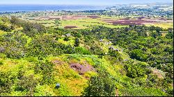 Waialua, North Shore, Vacant Land, Agricultural