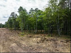 Lot 3 Sylva Lane,Crosslake, MN, 56442