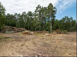 Lot 3 Sylva Lane,Crosslake, MN, 56442