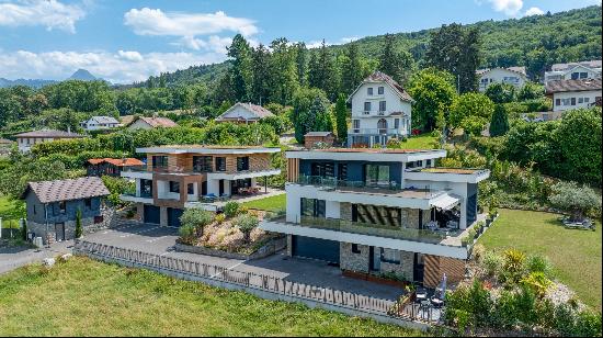 Neuvecelle view on the lake 2 villas and one chalet