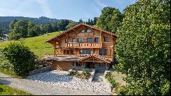 Antern: New 280 sqm chalet totally connected to nature